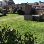 Garden 1