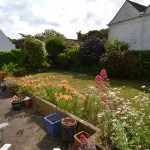 DSC_0163[1]