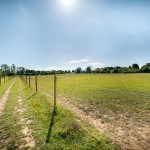 kelf farm-46