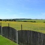 DSC_1267