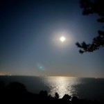 moonlight