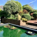 GARDEN POND