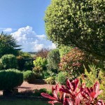 REAR GARDEN VIEW 2
