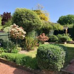 REAR GARDEN VIEW 4