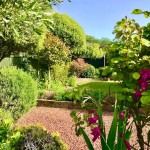 SUNNY GARDEN SHOT