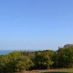 DSC_1031